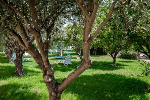 a park with a tree and a bench in the grass at Villa del Papiro Charme Apartments in Avola