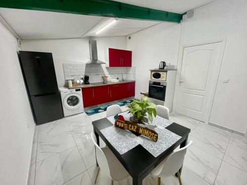 Kuchyň nebo kuchyňský kout v ubytování Villa TiCazMimose