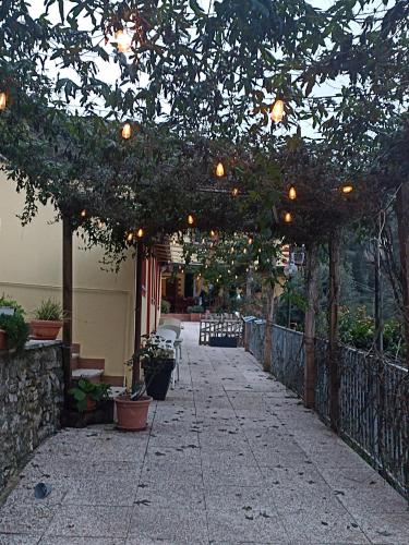 a walkway with lights hanging from a pergola at Villa Patrizia in La Spezia