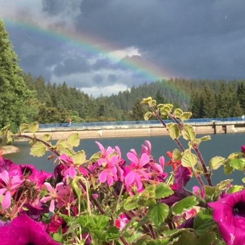 a rainbow over a bridge with a bunch of pink flowers at Holidayhaus Lütsche in Frankenhain