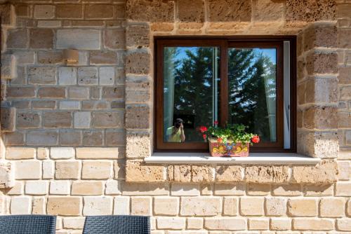 a dog looking out the window of a brick wall at Villa del Papiro Charme Apartments in Avola
