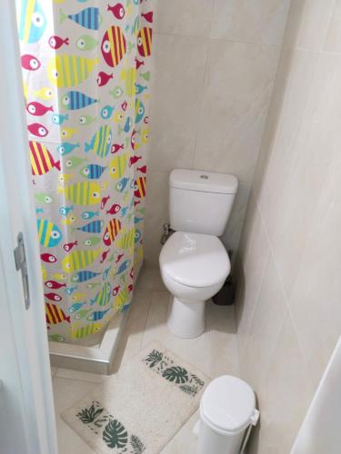 a small bathroom with a toilet and a shower curtain at Mountain Top Eleochori Βουνοκορφή in Elaiokhórion