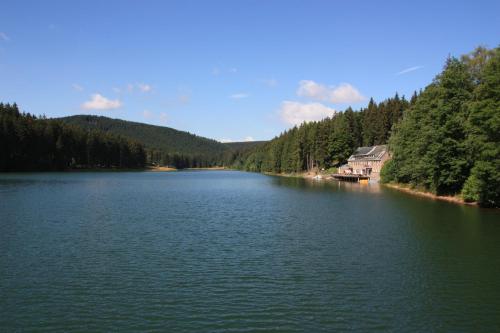 a view of a lake with a house and trees at Holidayhaus Lütsche in Frankenhain