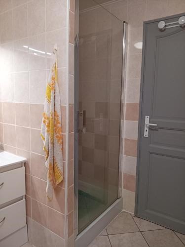 eine Dusche mit Glastür im Bad in der Unterkunft La Bergerie de Lavernhe in Connac