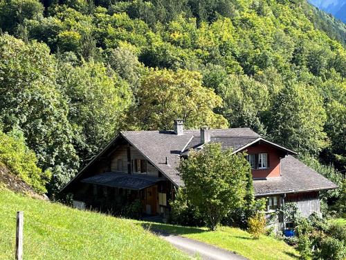 a house on a hill next to a road at Chalet ALPEN LOTUS in Innertkirchen