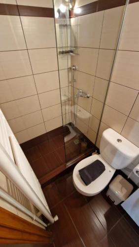 Koupelna v ubytování Vella_838