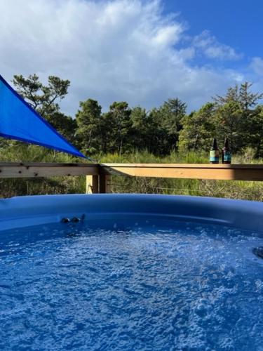 a large blue pool of water with trees in the background at Rudders Rest in Pacific City