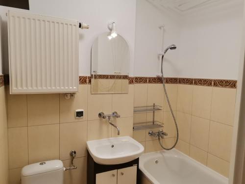 a bathroom with a sink and a toilet and a bath tub at Wilanowska Jar Apartament in Gdańsk