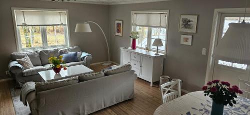 ein Wohnzimmer mit einem Sofa und einem Tisch in der Unterkunft At The Lakeside - Villa in Skulestadmo