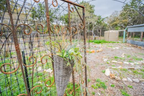 a metal fence with a potted plant in it at Serene Hill Country Home w/ Romantic Garden Escape in Driftwood