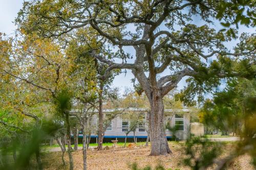 a large tree in front of a house at Serene Hill Country Home w/ Romantic Garden Escape in Driftwood