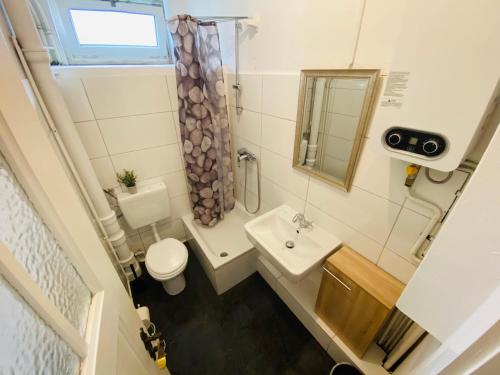 Baño pequeño con aseo y lavamanos en Beautiful Apartment I 4 Beds I Fast WiFi I Kitchen en Bielefeld