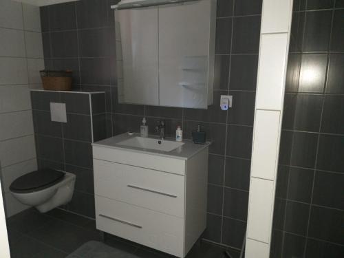 une salle de bain avec un lavabo, des toilettes et un miroir dans l'établissement Blue Maldives, à Argeliers