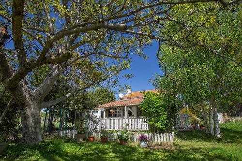 Original and quiet house near ARLES, Camargue