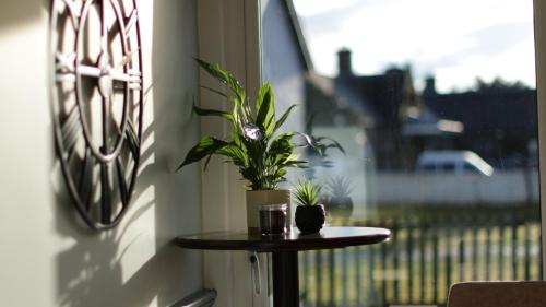 a table with a plant on it next to a window at The Crossing in Kingussie