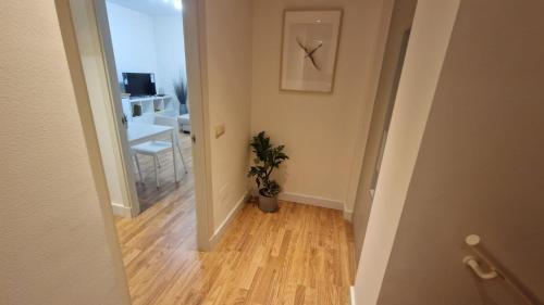 Apartamento Limonar Deluxe