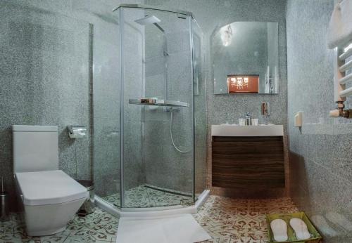 a bathroom with a shower and a toilet and a sink at Vila Elat in Chişinău
