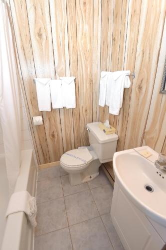 a bathroom with a toilet and a sink at Auberge Sur Mer Charlevoix in Saint-Siméon