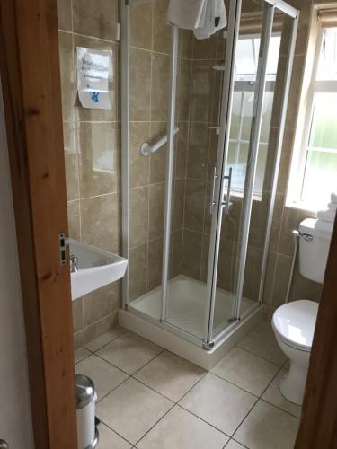 a bathroom with a shower and a toilet at Doonhill Lodge in Galway