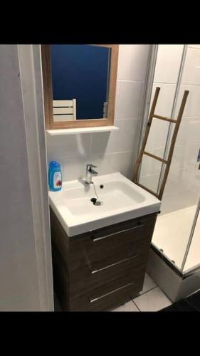 une salle de bain avec un lavabo et un miroir dans l'établissement « Le petit Bastille»Proche Lyon centre, à Villeurbanne