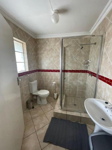 a bathroom with a shower and a toilet and a sink at Holiday Flat at Vaaldam Sgt Pepper's in Oranjeville