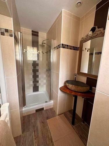 a bathroom with a shower and a sink at Le Nid Cabailla in Coimères