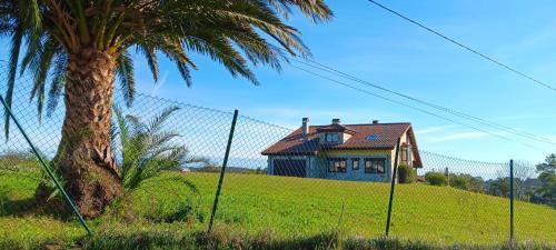 a house on a hill with a palm tree and a fence at Prau del Urogallo in Ribadesella