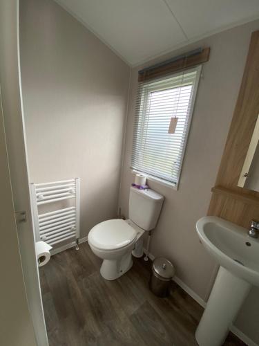 a bathroom with a toilet and a sink at VerbZen Holidays Caravan at St Osyth Beach, Clacton-on-Sea in Saint Osyth