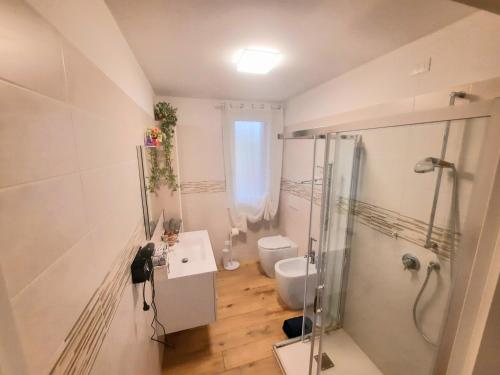 a bathroom with a shower and a sink and a toilet at New Bedrooms Mamma Gigetta in Noventa di Piave