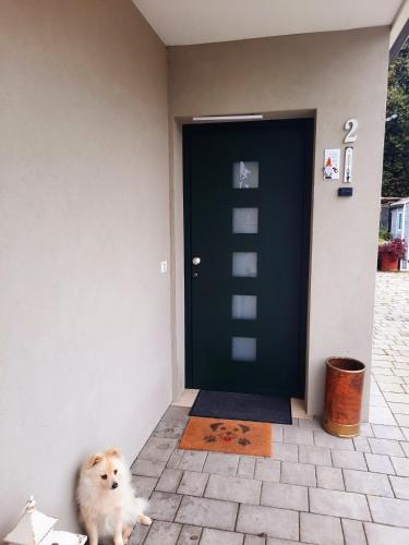 a dog standing in front of a door at New Bedrooms Mamma Gigetta in Noventa di Piave
