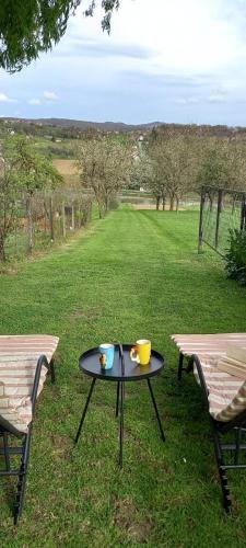a table and two chairs in a field at Apartman Barbara in Daruvar