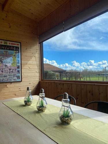 two glass vases sitting on a table with a window at Bosquey Ranch B&B in Alice Castello