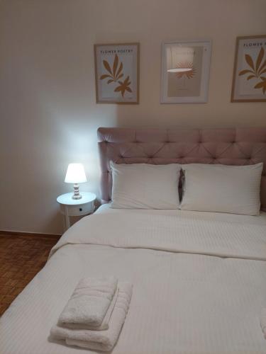 a bedroom with a large white bed with two pillows at Santa Marina 3 in Ioannina