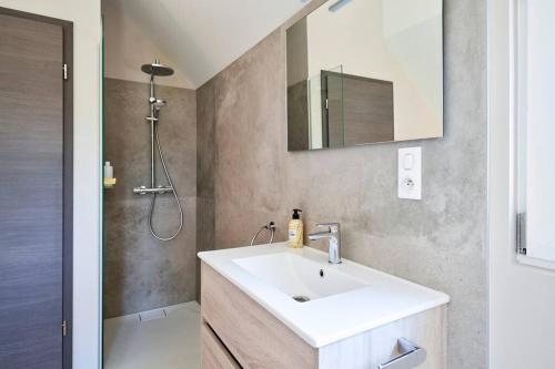 uma casa de banho com um lavatório e um chuveiro em Le cépage, au coeur des vignes. em Eguisheim