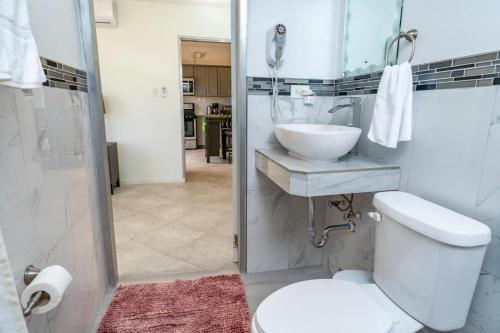 a bathroom with a toilet and a sink and a shower at Faith's Villa Tobago in Diamond