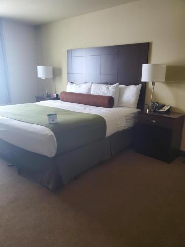 a large bed in a hotel room with two lamps at AmeriVu inn and Suites - Crookston in Crookston