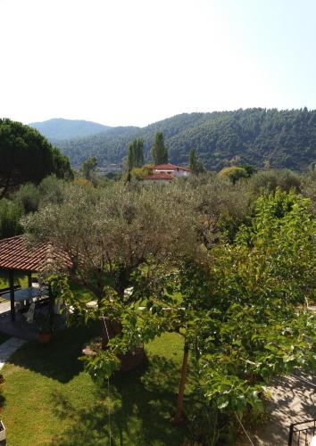 Gallery image of House Maria Manolaki, 1st Floor Studios in Vourvourou