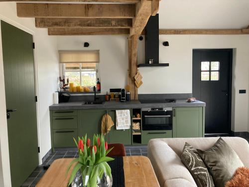 a kitchen with green cabinets and a couch at De Rheebok in Uddel