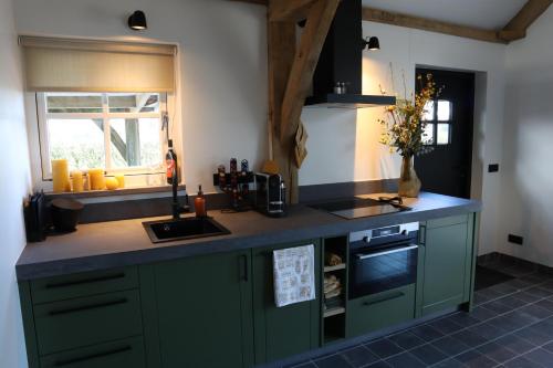 a kitchen with green cabinets and a counter top at De Rheebok in Uddel