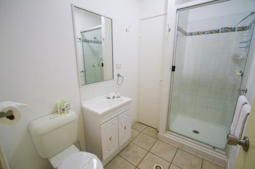 a bathroom with a shower and a toilet and a sink at Agnes Palms Accommodation in Agnes Water