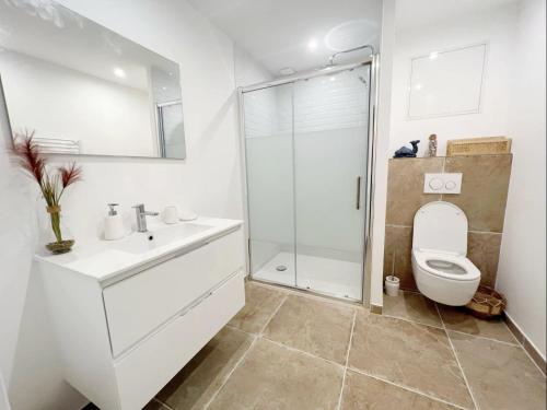uma casa de banho branca com um WC e um chuveiro em Magnifique grange rénovée au coeur de la Champagne em Les Mesneux