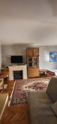 a living room with a couch and a fireplace at Studio apartman sa pogledom na more in Meljine