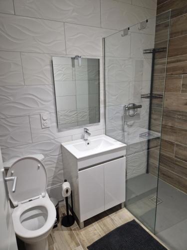 uma casa de banho com um WC, um lavatório e um chuveiro em ILEANA em Villefranche-de-Rouergue