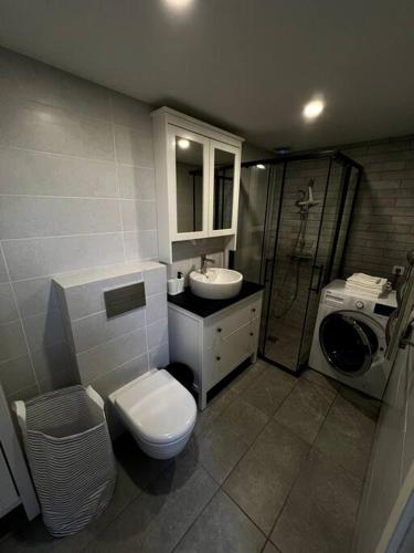 W łazience znajduje się toaleta, umywalka i prysznic. w obiekcie Brand-new Central Loft w Wilnie