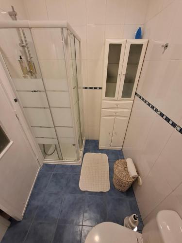 uma pequena casa de banho com chuveiro e WC em Lisbon Hideaway Haven em Lisboa