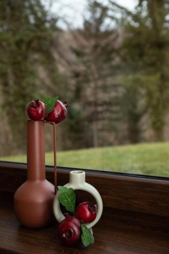 a vase and cherries sitting on a window sill at Vila Ana in Kalesija