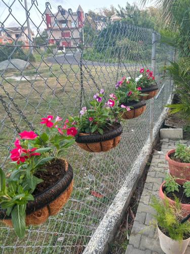 four pots of flowers hanging on a fence at Faith's Villa Tobago in Diamond