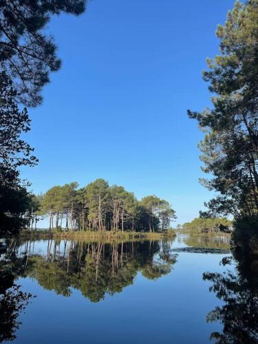 a lake with trees reflecting in the water at Villa Marina de Talaris, Lacanau in Lacanau