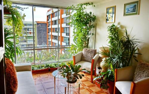 a room with plants and chairs and a large window at Portugal L y D in Santiago