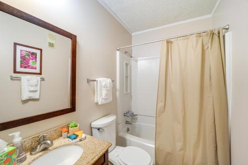 シュガー・マウンテンにあるBalcony and Views Sugar Mountain Haven!のトイレ、洗面台、シャワー付きのバスルーム